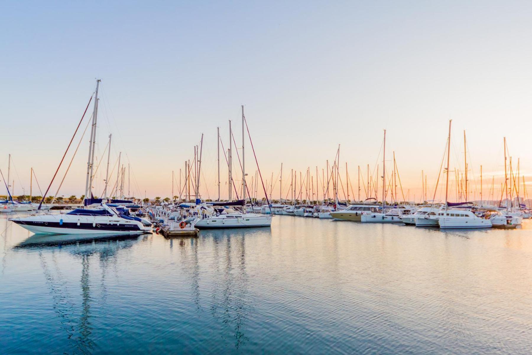 Alegria Id49 Leilighet Torrevieja Eksteriør bilde
